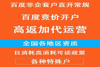 SEM竞价代运营：案例展示数据分析与应用